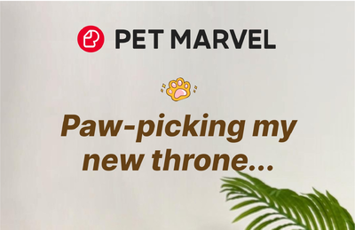 Pet Marvel